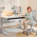 Комплект парта Ergokids TH-330-1 Grey + кресло Ergokids Mio Air (TH-330-1 W/G + Y-400 G (arm))
